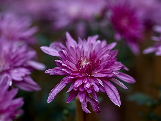 基建工程部岗位职责(精选3篇)
