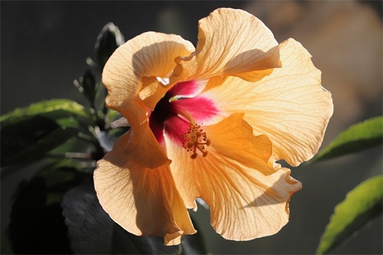 16字跑操口号押韵 16字跑操口号霸气押韵