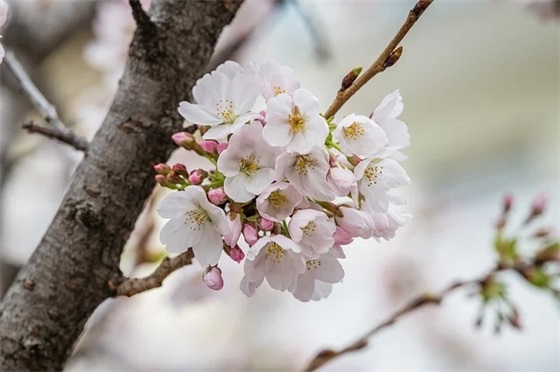 好听的淘宝昵称女生 淘宝昵称女生简短好听(精选77个)