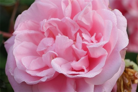 万象网罗万象 网购平台品牌口号(精选52句)