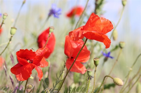 幼儿园六一发朋友圈文案(精选18句)