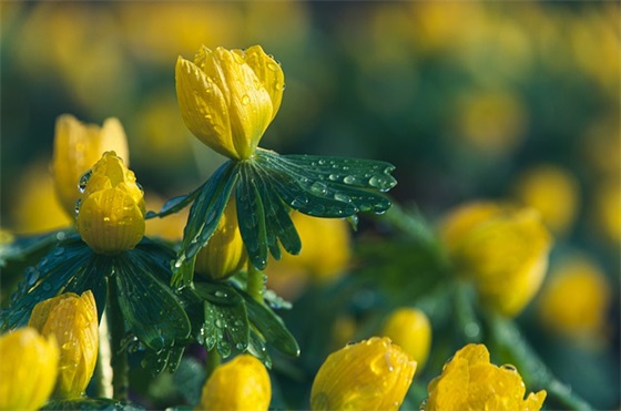 我发现了生活中的美