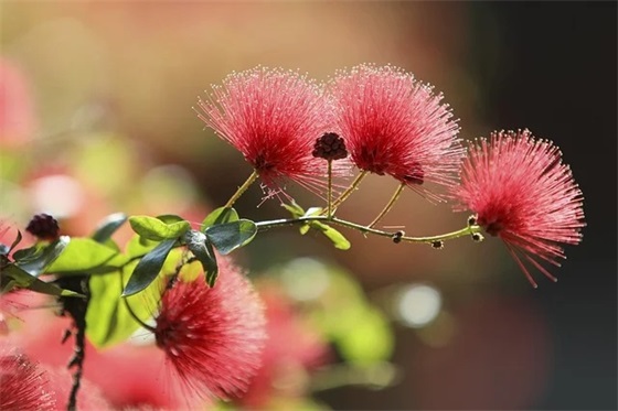 公司周年庆文章