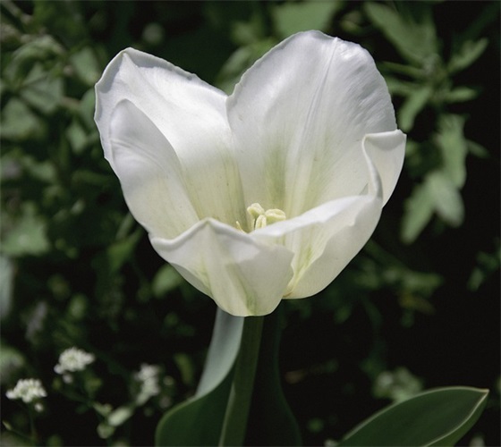 外出学习考察汇报