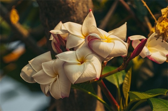 二年级数学教学论文