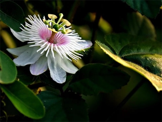 信给十五岁的自己