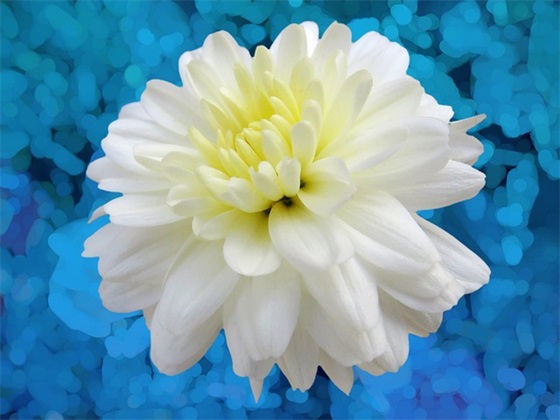 思想作风建设心得体会