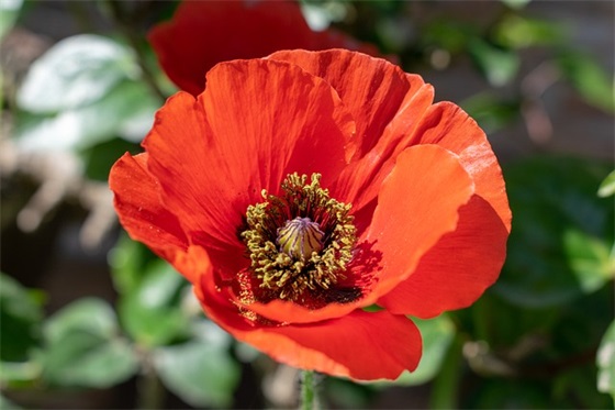 思想动态情况汇报