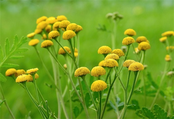 保密工作实施方案