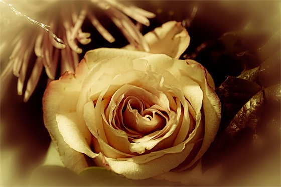 公司法论文范文精选