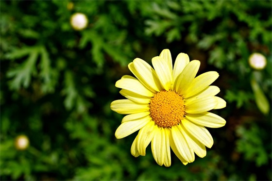 活动宣传推广方案