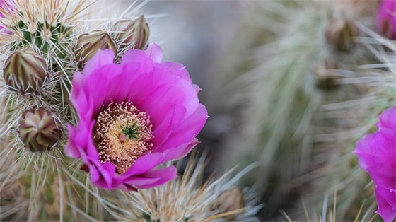 关于网络安全的整改措施