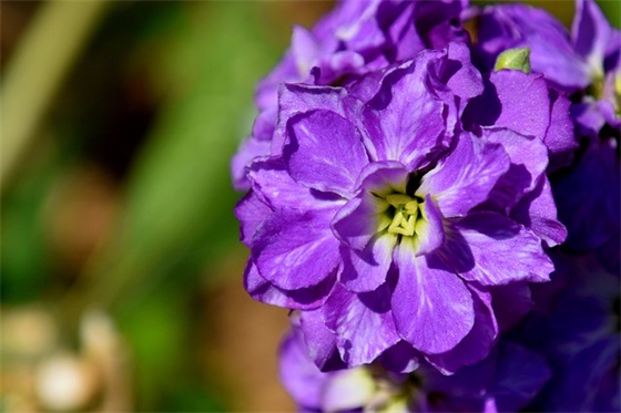 医院创先争优活动总结