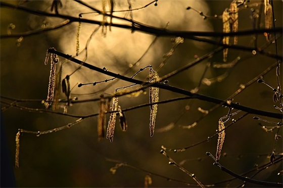 后进生转化记录