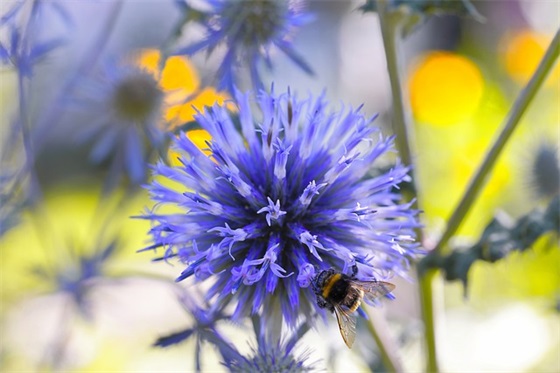 体育课干了一节课