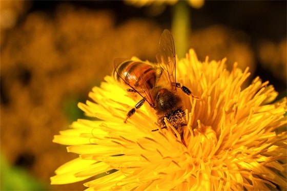 关于环境污染的资料