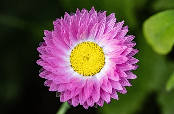 机关办公室工作制度