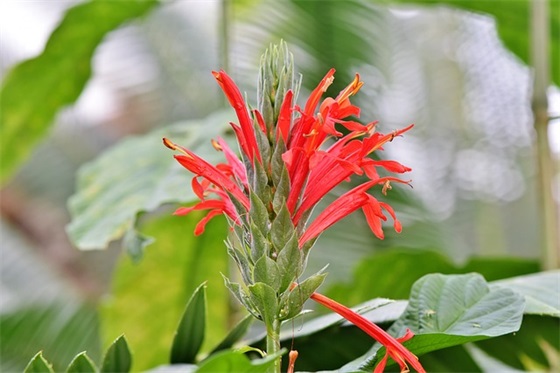 普通家庭理财规划方案