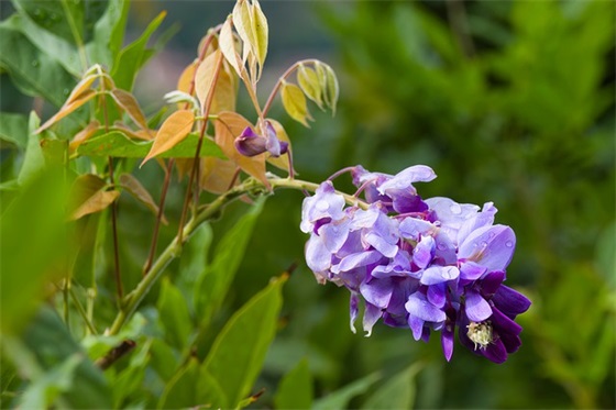 初中地理学科教学论文