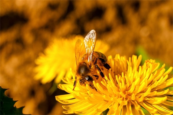 革命传统教育方案