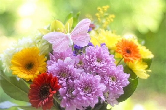 用爱托起明天的太阳