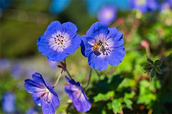 红色故事汇观后感