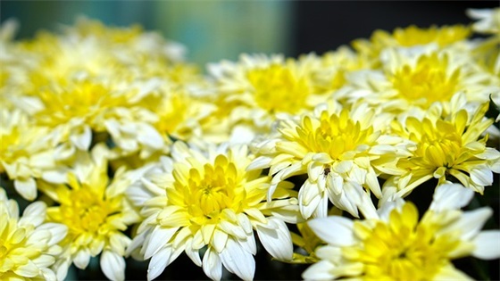 帮妈妈整理房间