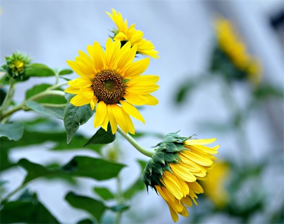 民事法律关系论文