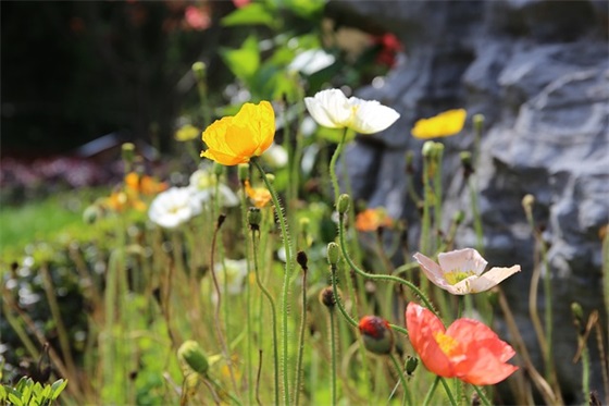 严于律己廉洁奉公