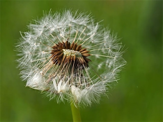 信息宣传工作总结