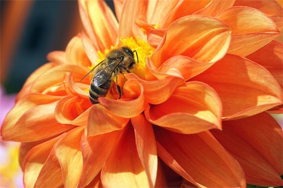 大数据论文范文精选