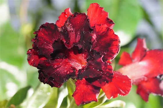 公益海报设计范文精选