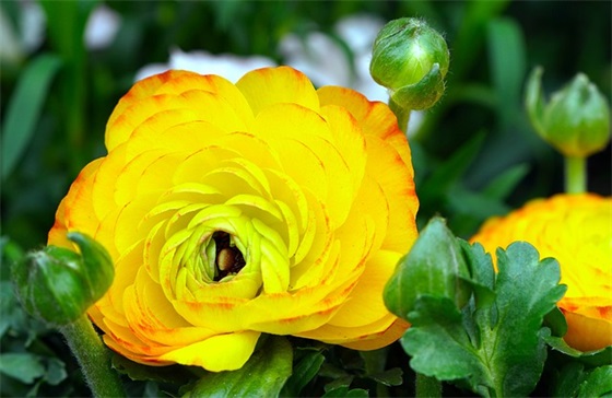 企业战略管理范文精选