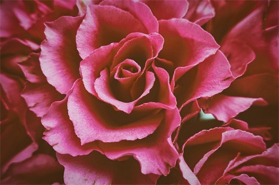 怎样做个好学生