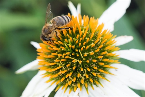 有关鲁迅的文章