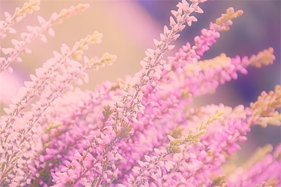 幼儿音乐教育论文