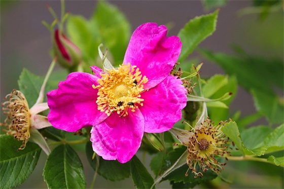 当梦想照进现实