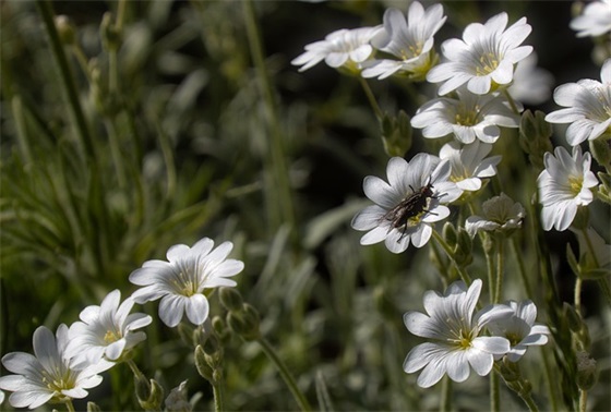 高一第一次月考