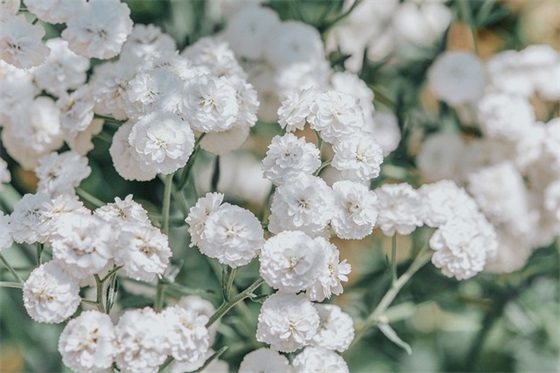 工程检测论文范文精选