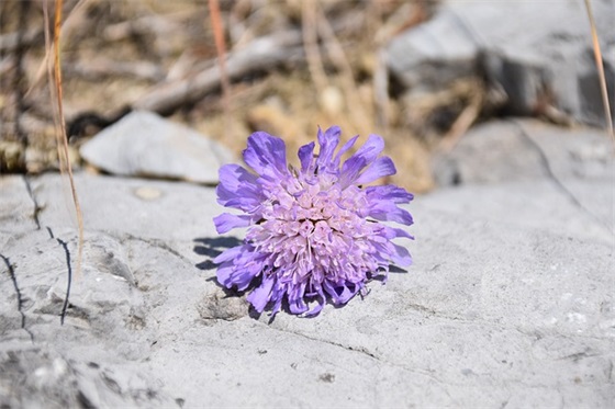 精神科护理范文精选