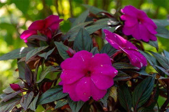 品味妈妈的味道