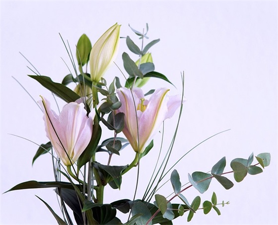 我深深爱恋的祖国