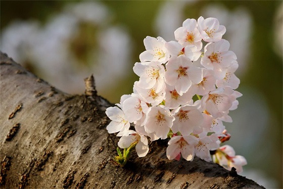纪检监察论文范文精选
