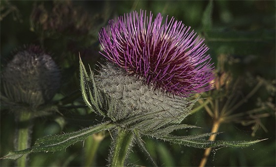 中学物理教学论文