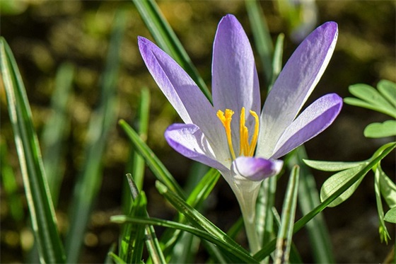 生产管理论文范文精选