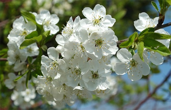 送给妈的祝福语大全 送给宝宝的祝福语大全