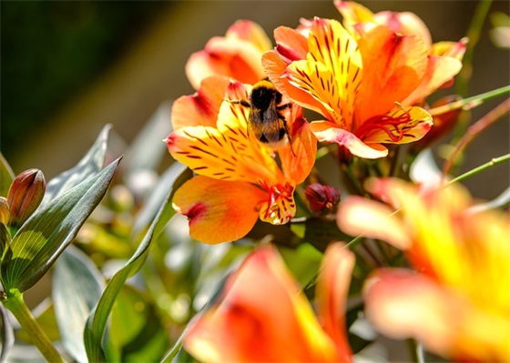 搞笑的离别祝福语47句