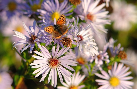新学期开学要好好学习的祝福寄语2025年