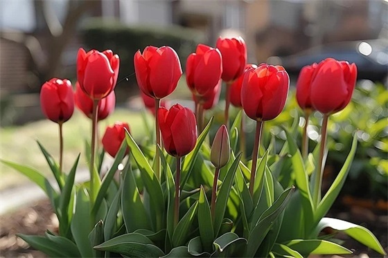 即将毕业的祝福语76句