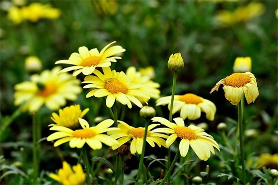 最新的好闺蜜生日祝福大全 女闺蜜生日祝福